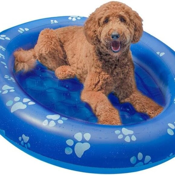 NEW PoolCandy Inflatable Pet Float - Picture 2 of 6